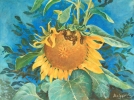 gal/fineart/Still life/_thb_Sunflower (30x40).jpg